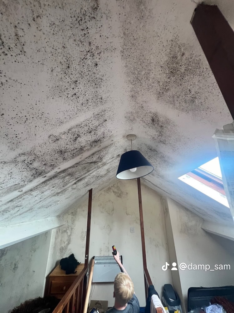 black mould discovered in a wombwell attic 2