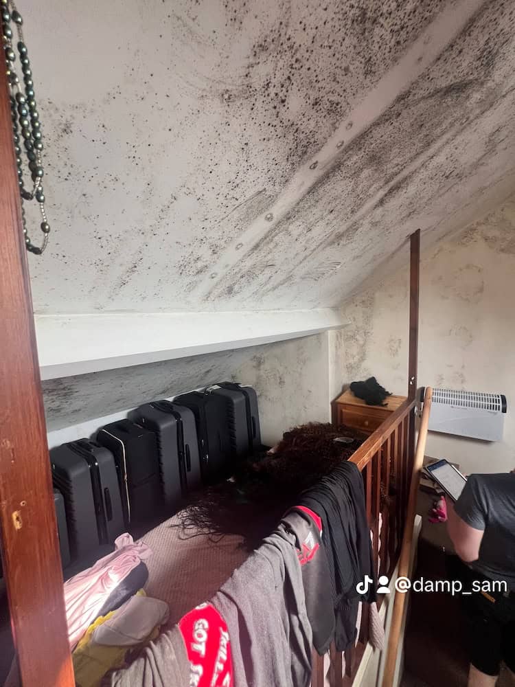 black mould discovered in a wombwell attic 3