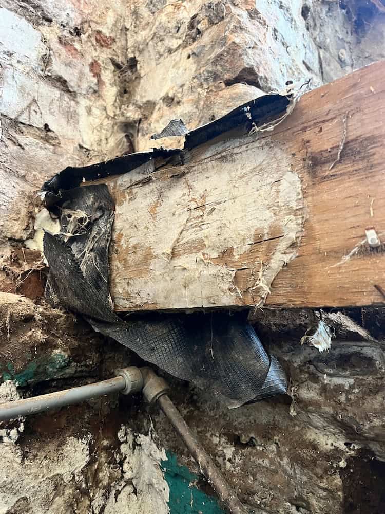 finding and treating dry rot hidden beneath a sheffield home 1