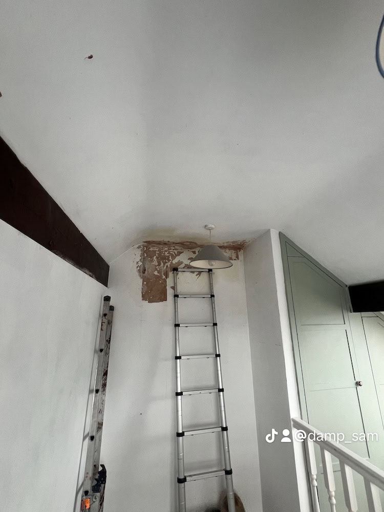 isolating sulphate salts on a staircase wall in harrogate 1