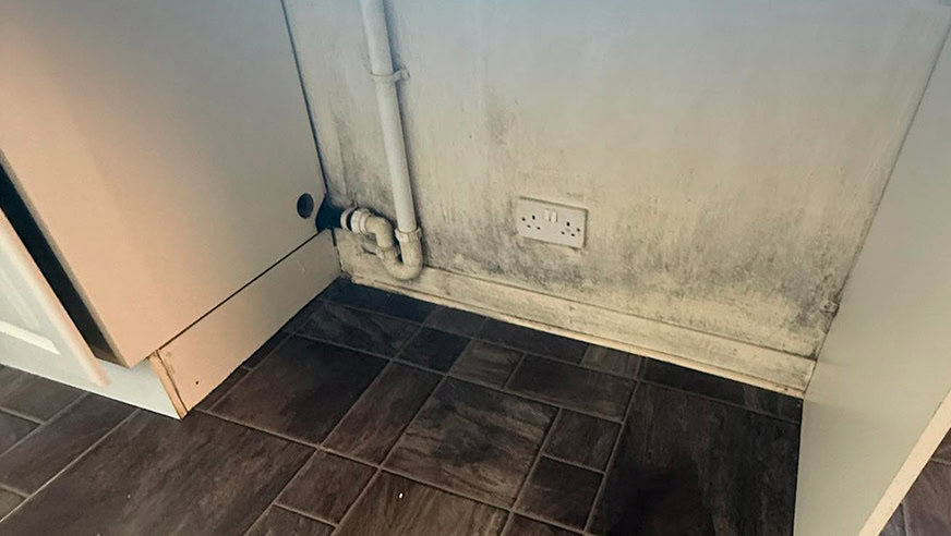 condensation survey
