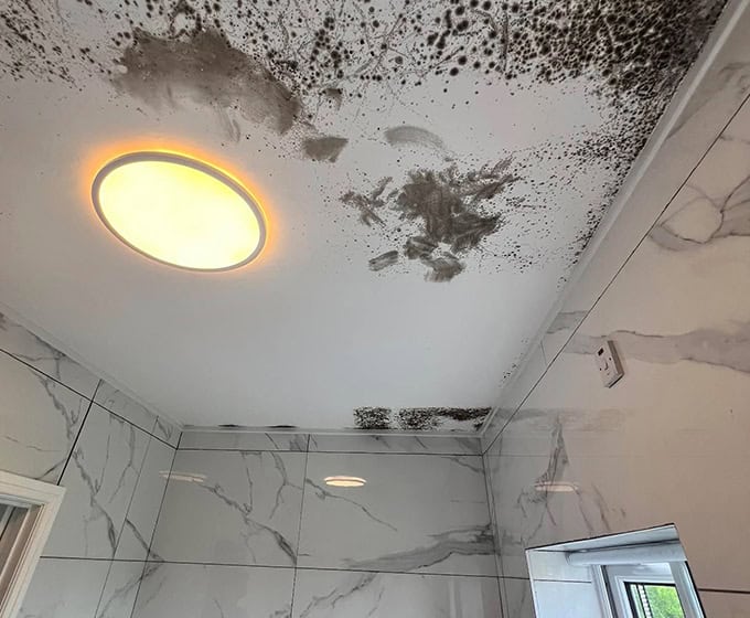 condensation treatment from pca approved expert