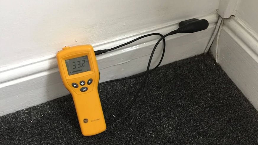 damp survey