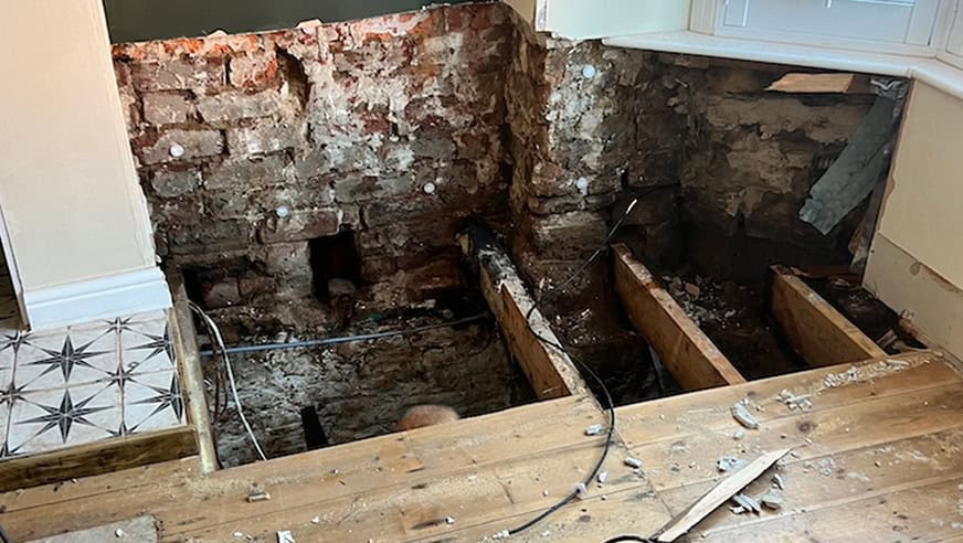 wet and dry rot
