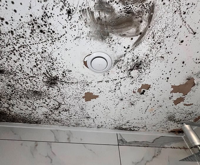 what a condensation survey includes