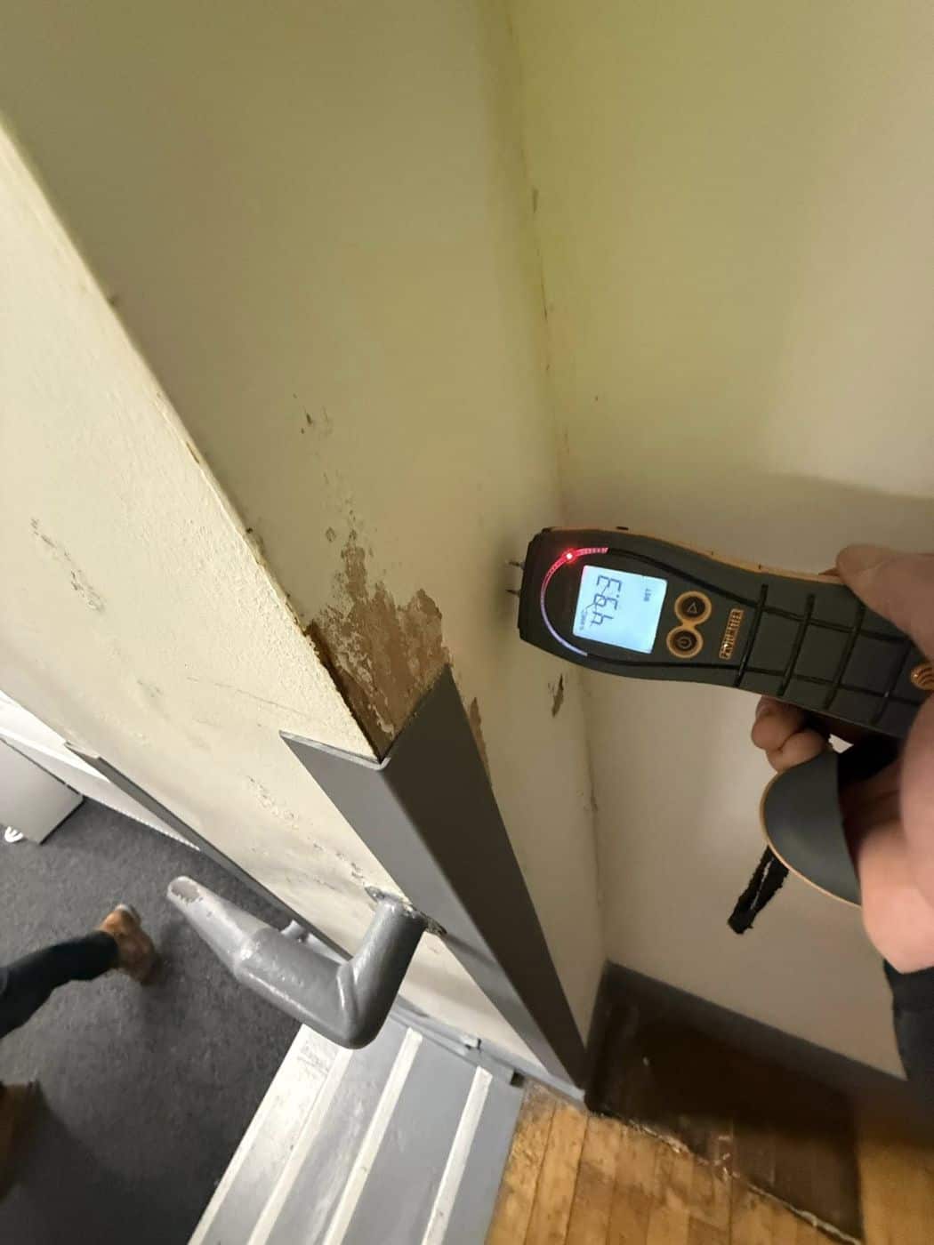 Damp specialist taking a moisture meter reading during a survey