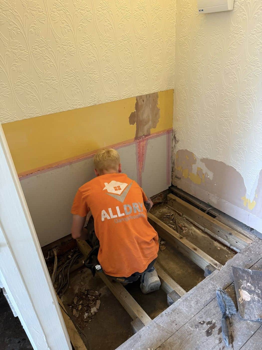 Damp survey using a moisture meter on an internal wall