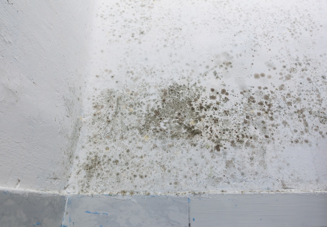 damp patches on a wall over baseboard