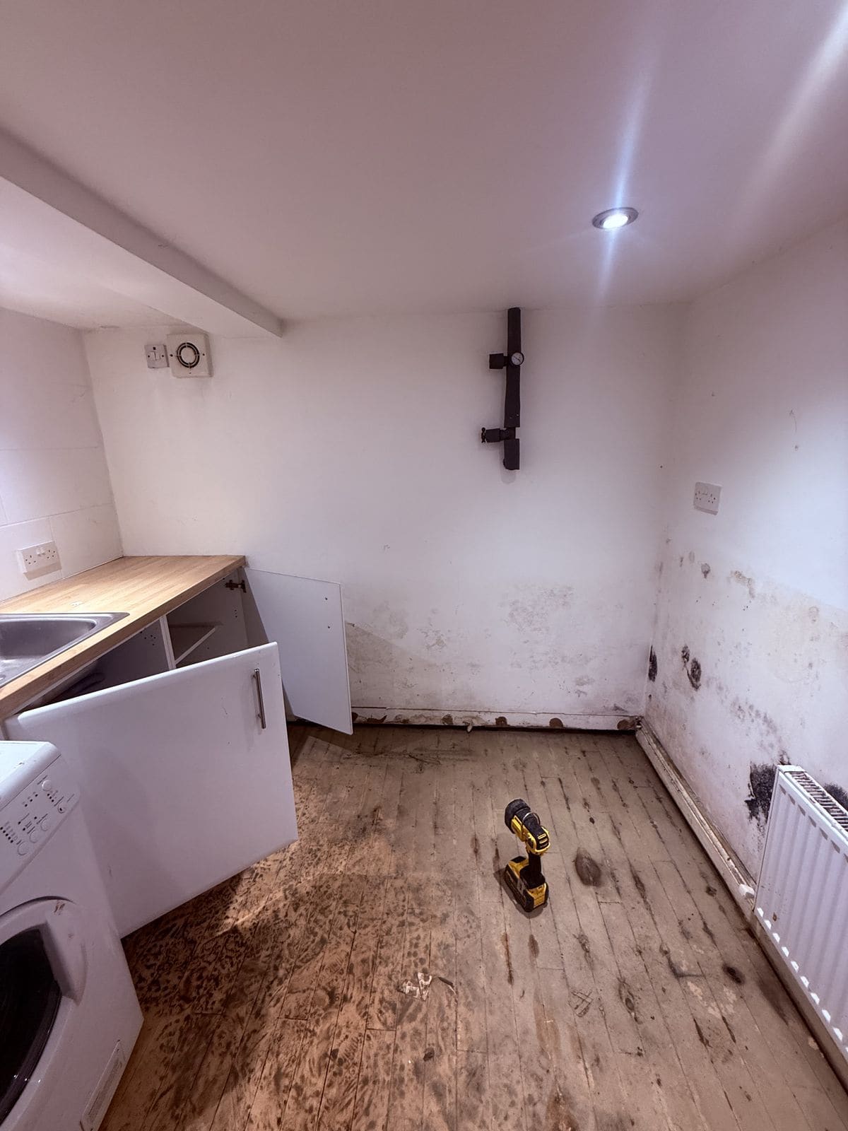 Black mould and white efflorescence staining on a cellar wall well above skirting height