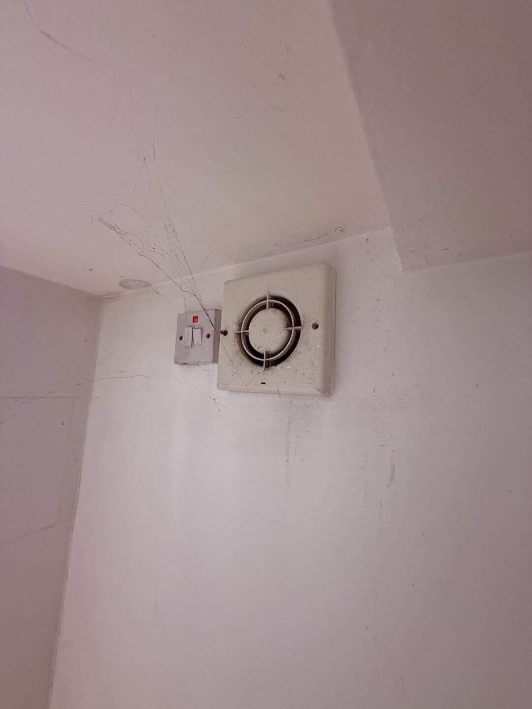 Basic intermittent extractor fan and isolator switch on a cellar wall, covered in cobwebs