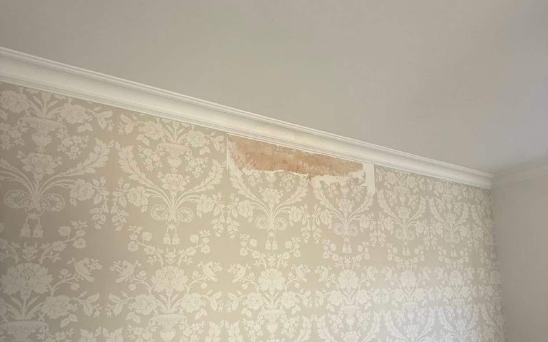 10 warning signs your home has a damp problem