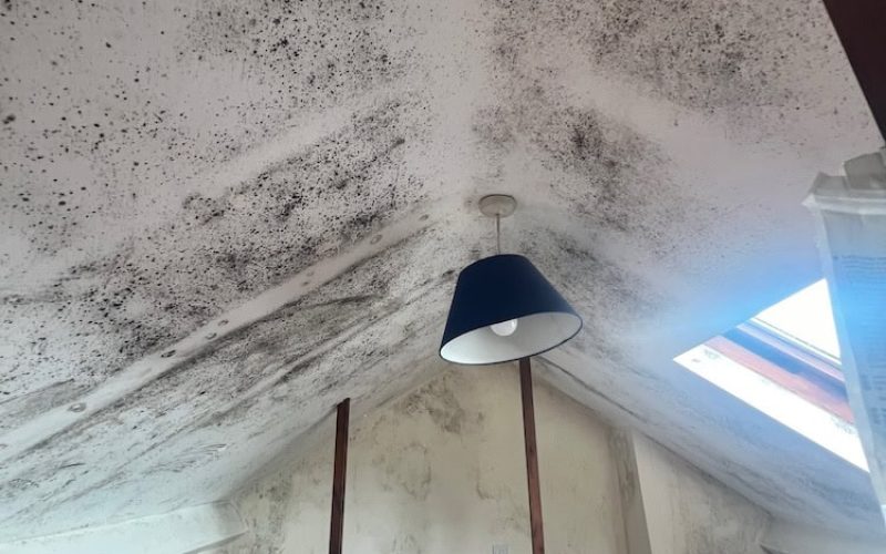 black mould discovered in a wombwell attic 2