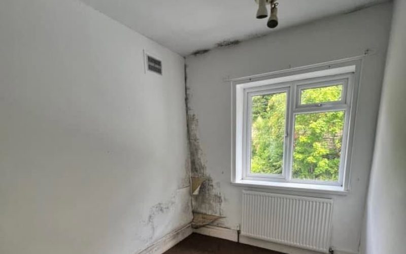condensation vs rising damp how to tell the difference