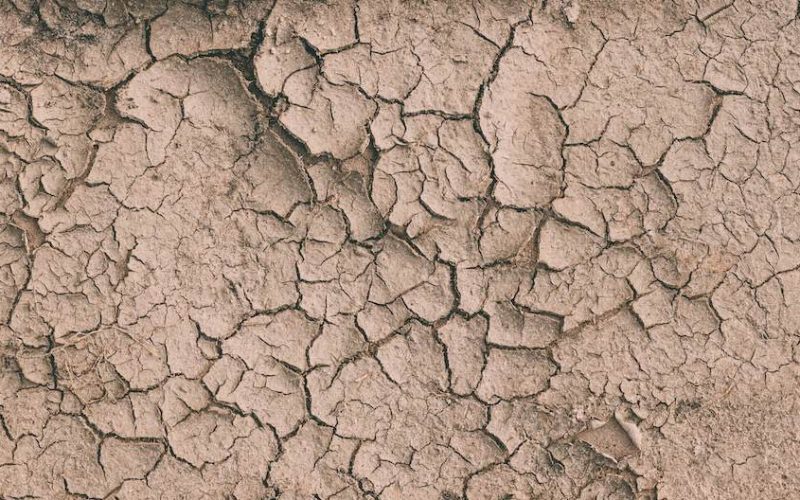 background of brown dry cracked soil dirt or earth during drought. dry cracked earth depicting severe drought conditions. panorama