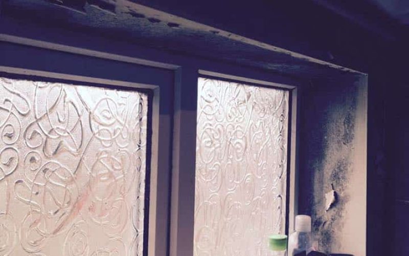 why black mould keeps coming back
